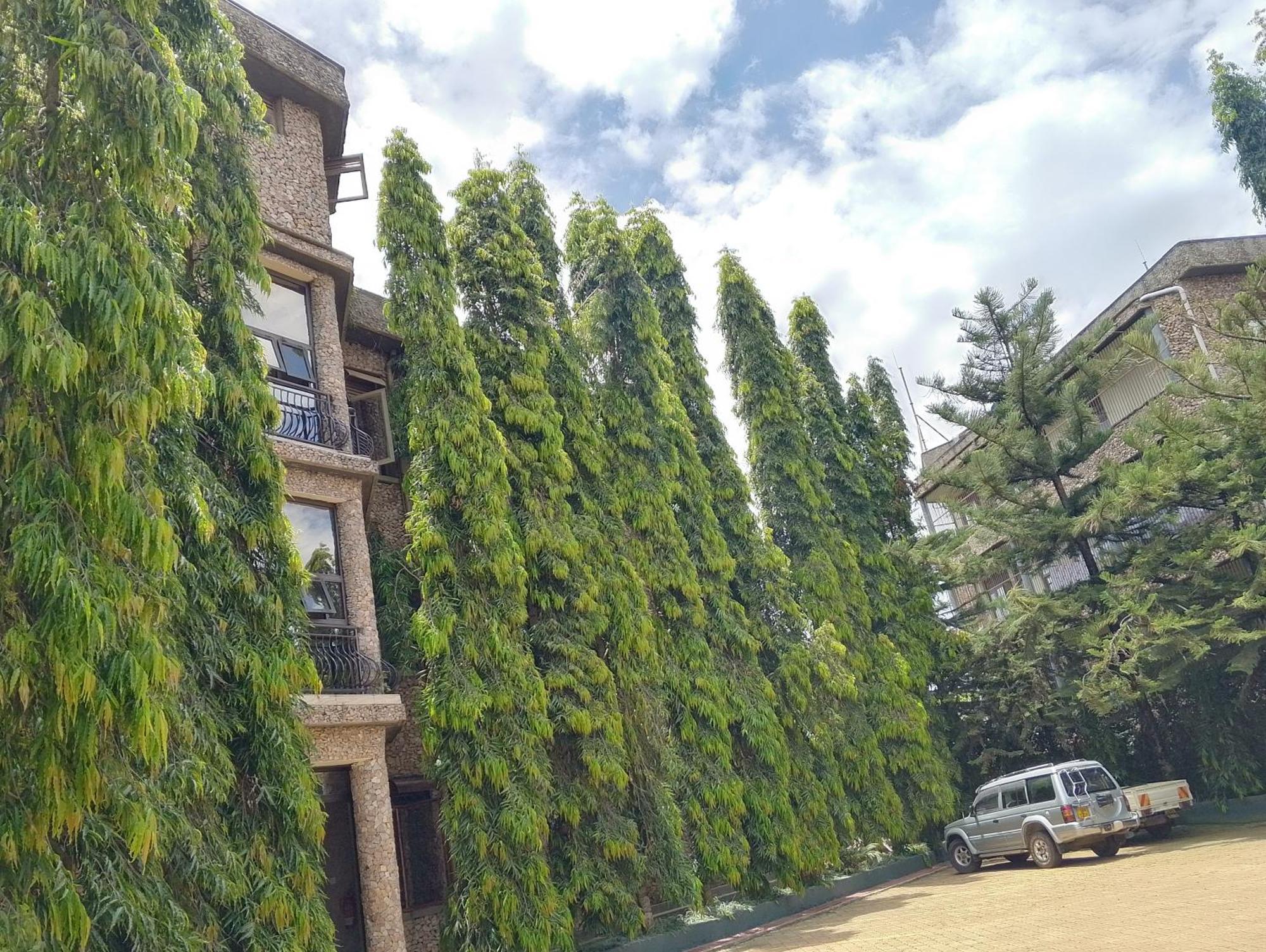 Discovery Courts Hotel عنتيبي المظهر الخارجي الصورة